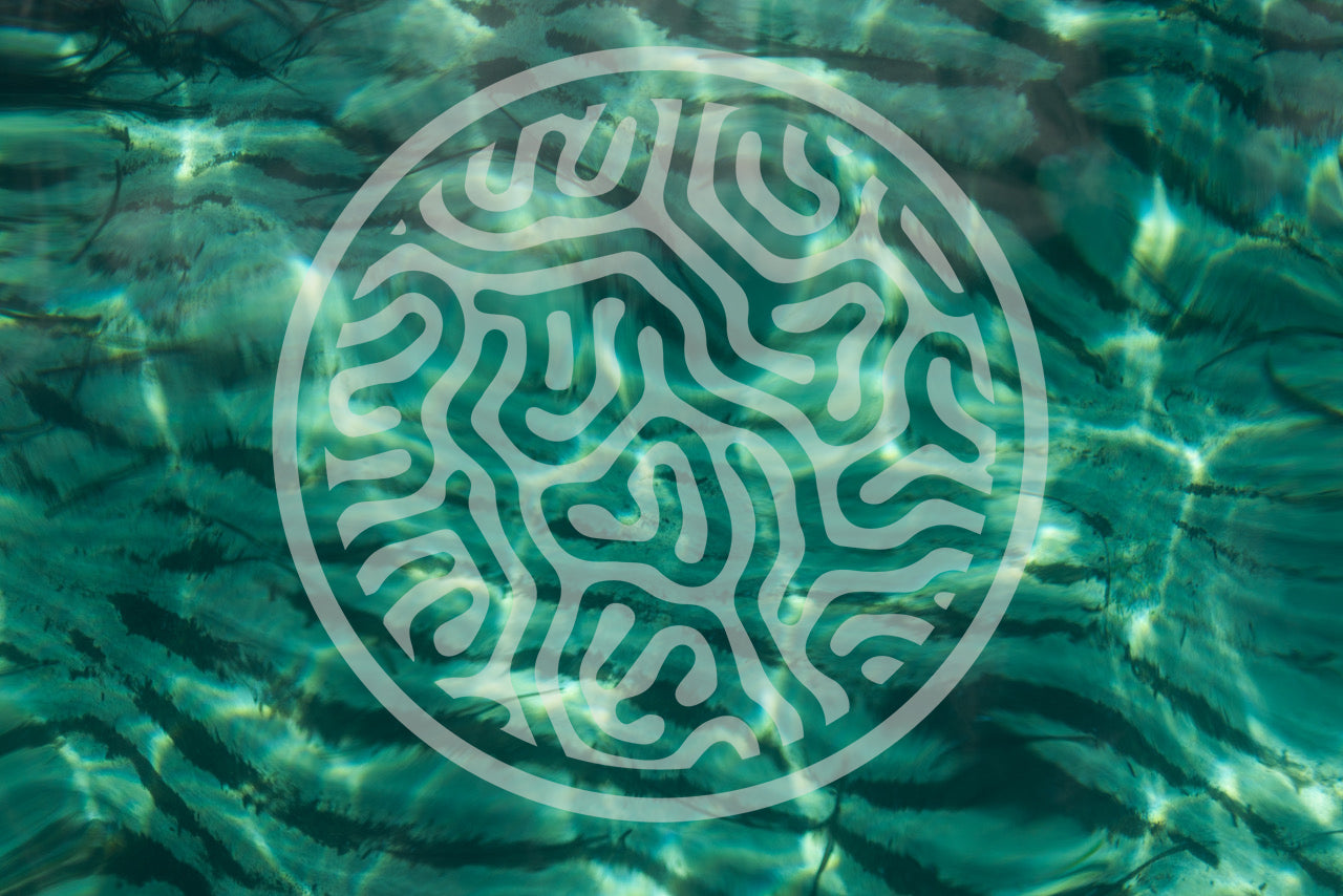 Bienvenid@ a MUR Swimwear