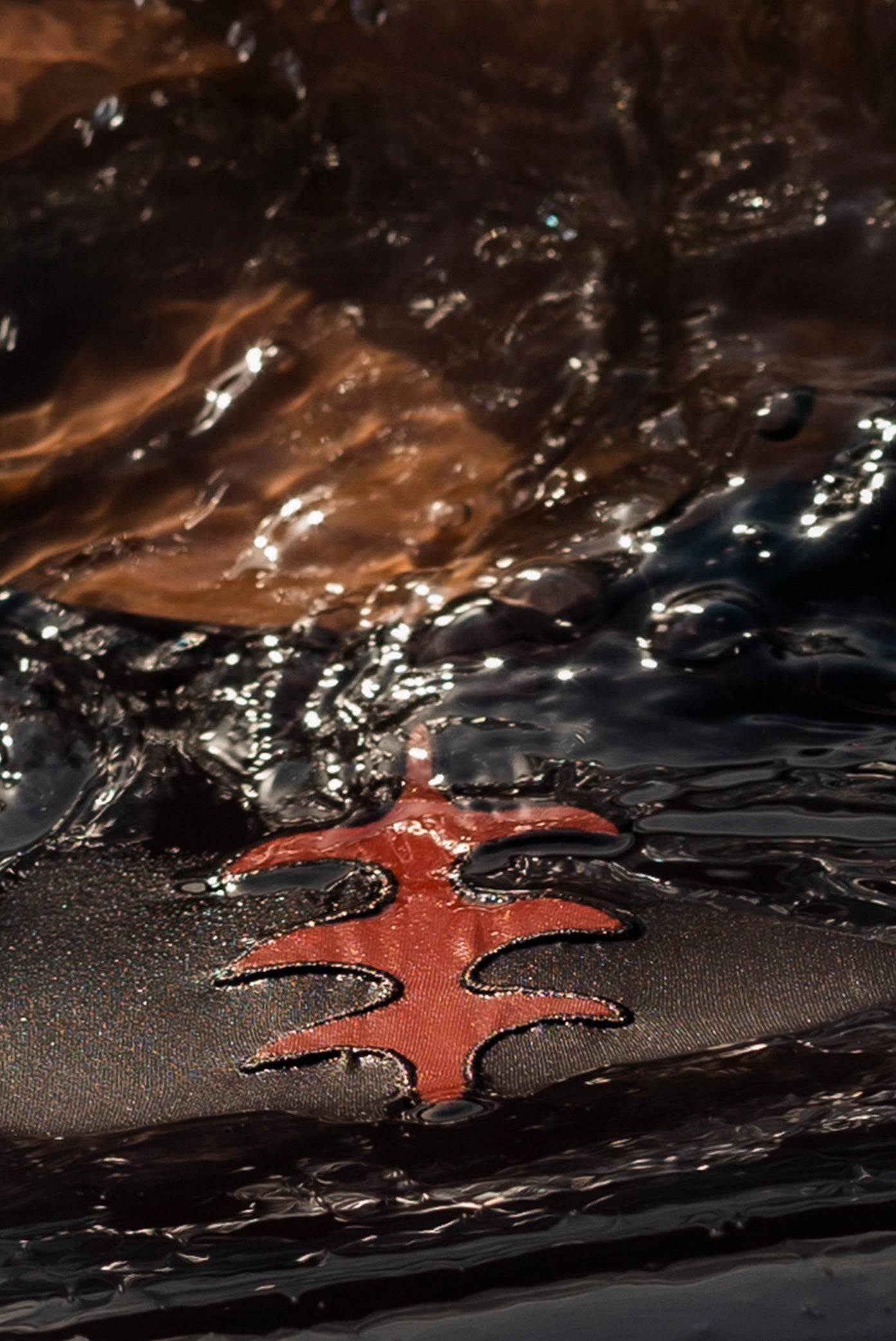 Traje de baño espina tierra